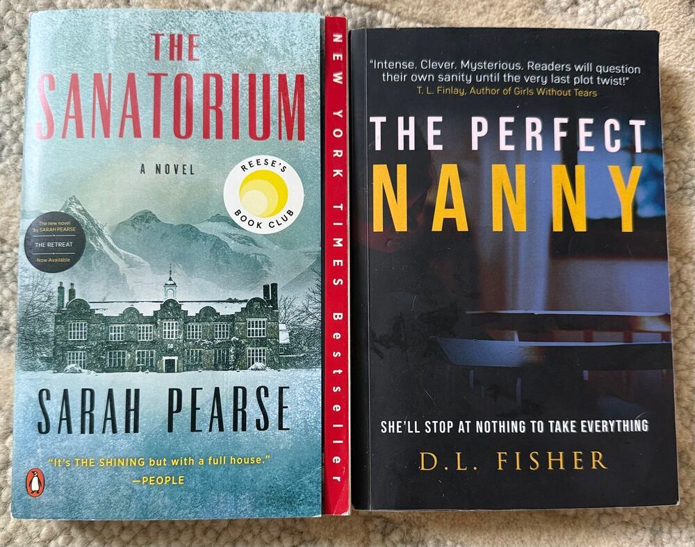 Thriller Mystery Book Lot Sarah Pearse D L Fisher Paperback 2 Book Bundle